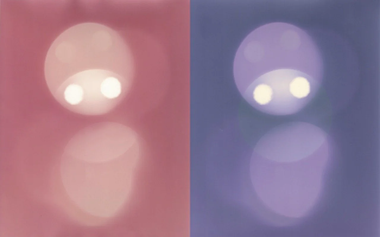 RichardSChow_Present Tense_06-Robots Large.jpeg