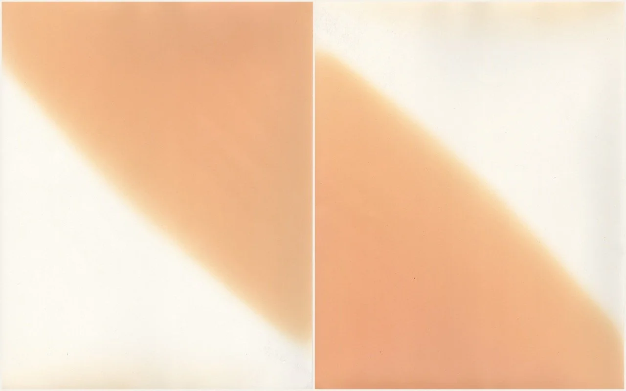 RichardSChow_Present Tense_09_Double Helix Large.jpeg