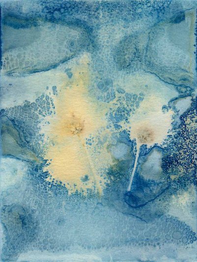 05-RichardSChow_cyanotypes_ 005.jpg