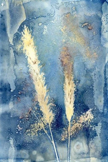 06-RichardSChow_cyanotypes_ 006.jpg