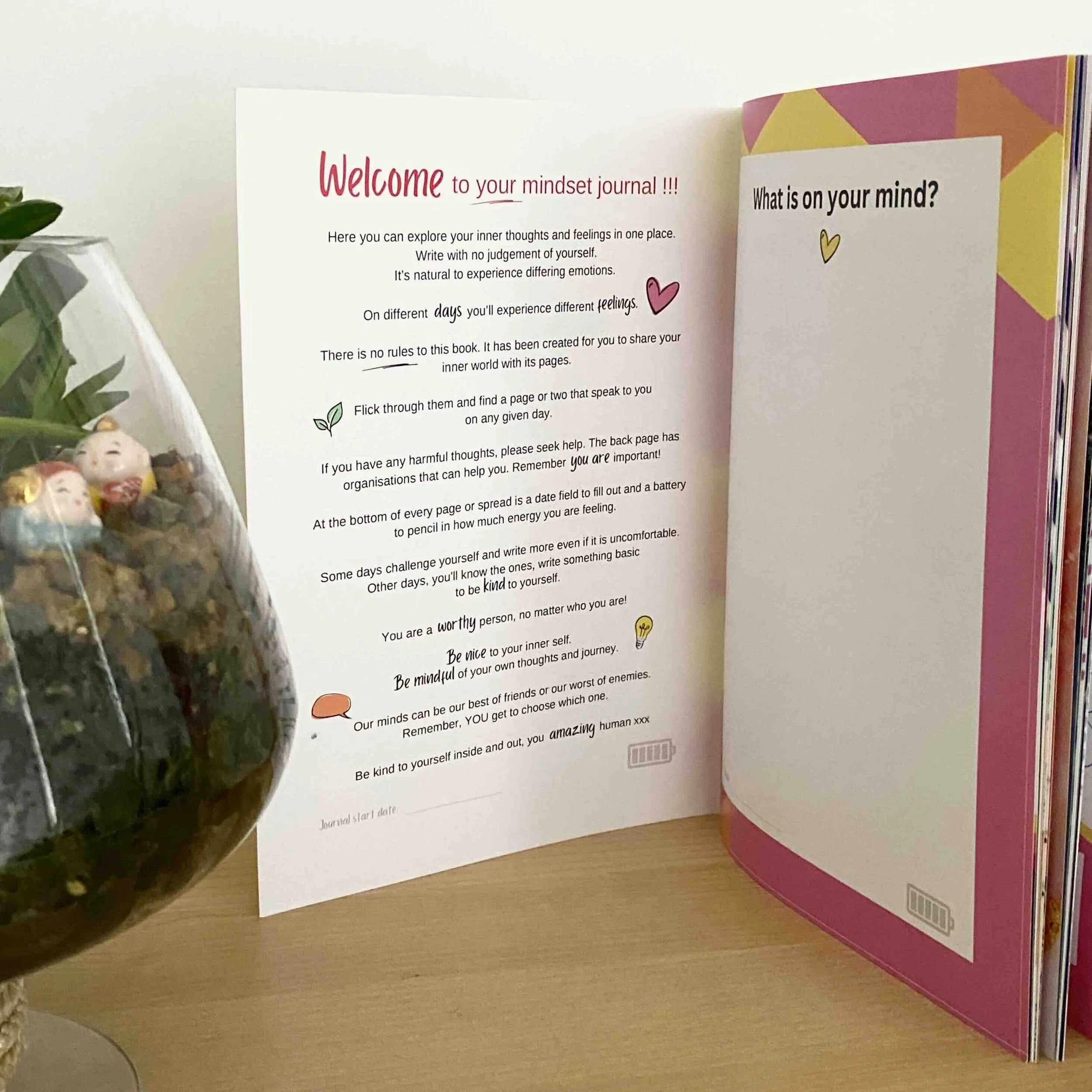 BNBM Journal 2_website.jpeg