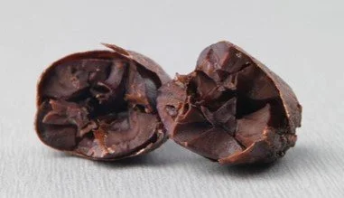 Fermented and dried bean.jpg