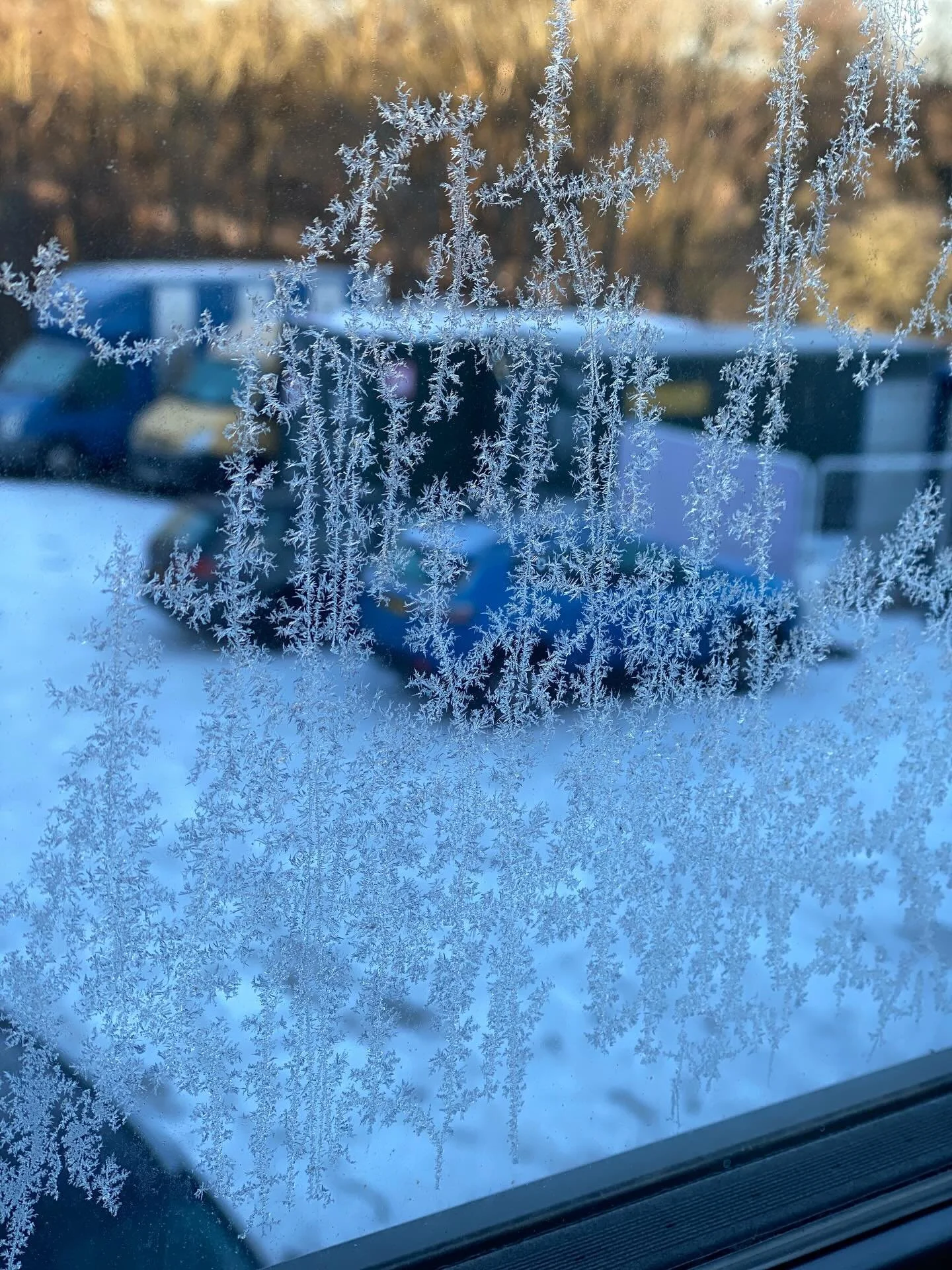 Pretty, but ready for it to warm up now please.