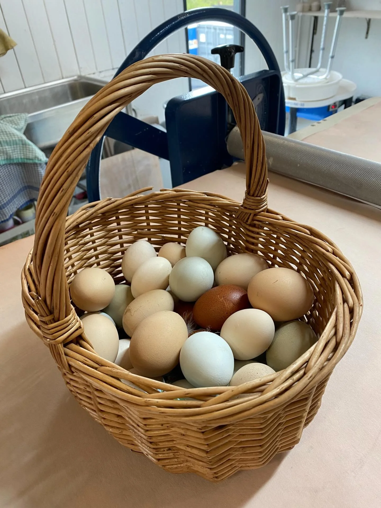 A little round-up of what&rsquo;s been going on at the studio this week.

1. A basket full of eggs. Courtesy of @ananemoji, or rather her chickens. (Member of the Month award in the pipeline I think&hellip;)

2. Tea and biscuits in the sunshine.

3. 