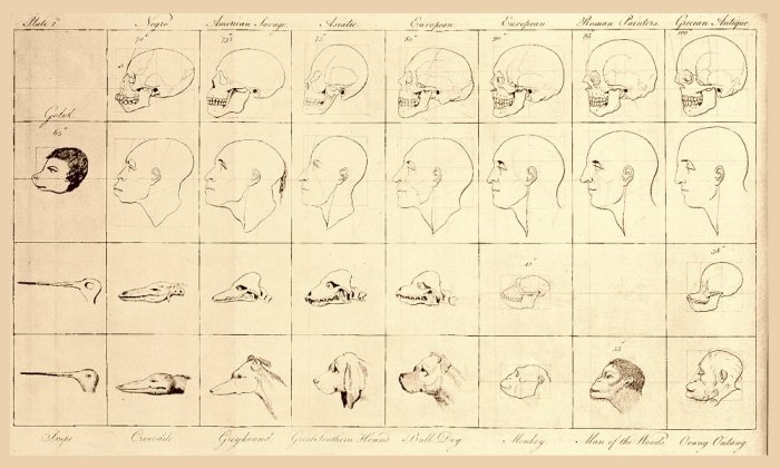 The Imperial Roots of Architectural Education