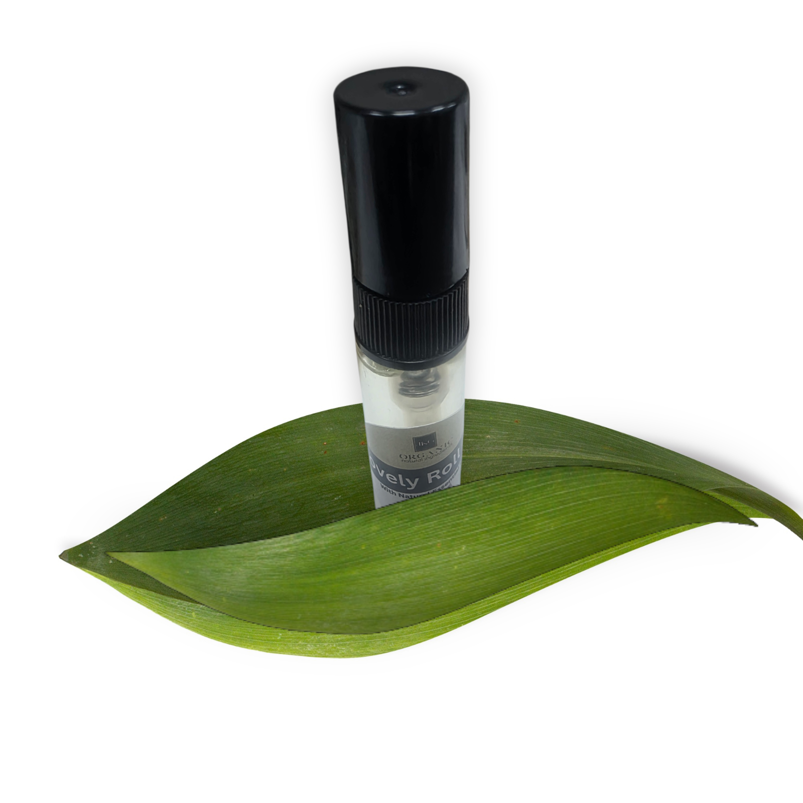 20251208_160943 (3).png