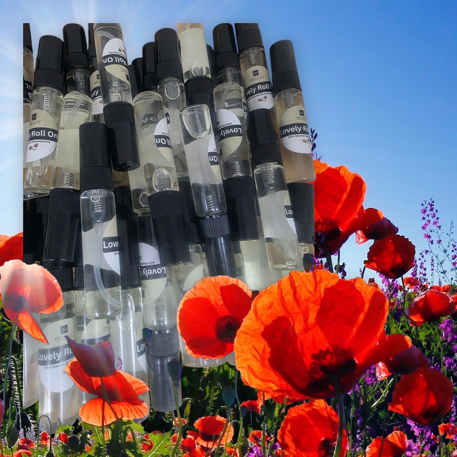 20251208_160939 (3).png