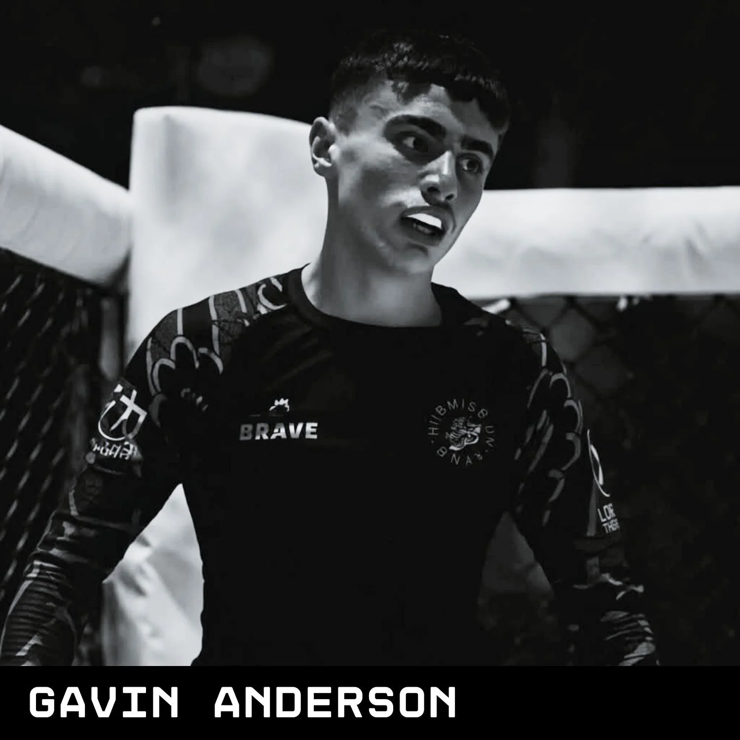Gavin.jpg