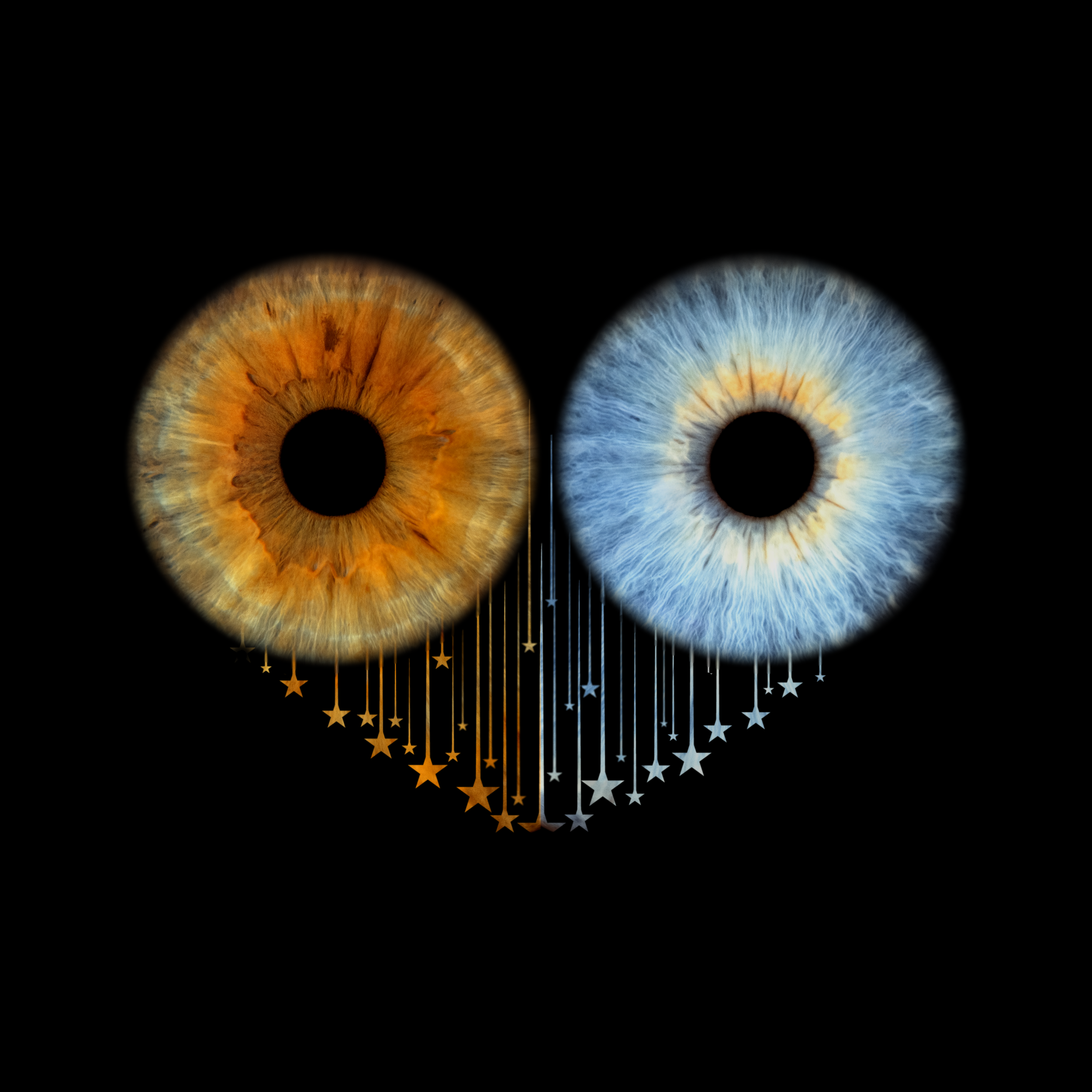 jobl Dropping Stars 07-05-2026.png
