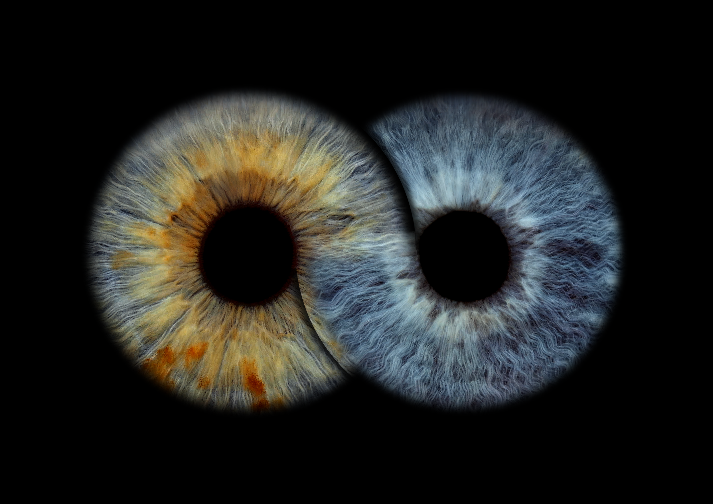 loreta.belskiene@gmail.com Infinity 11-05-2026.png