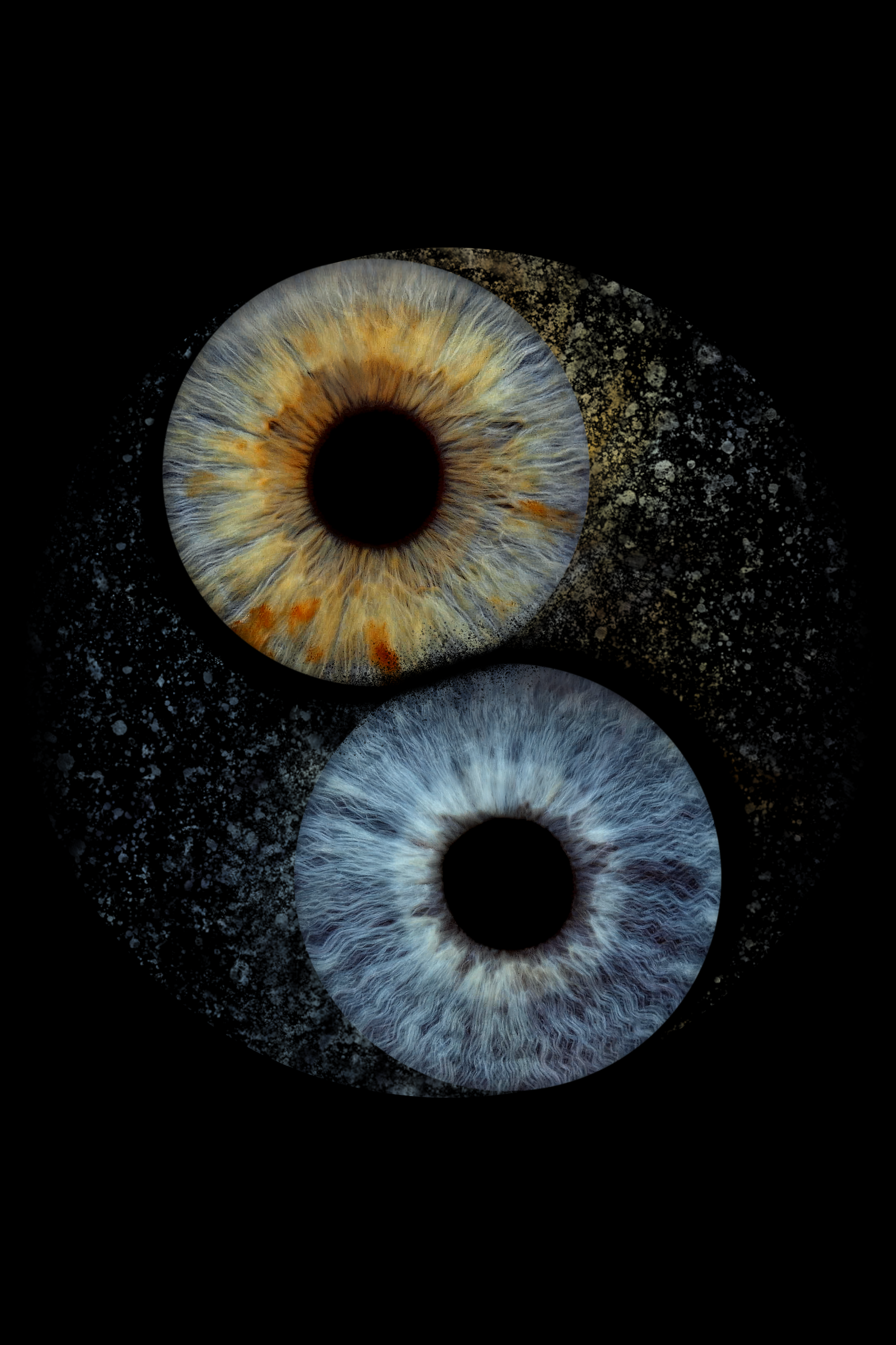loreta.belskiene@gmail.com 2 eyes YING YANG 11-05-2026.png