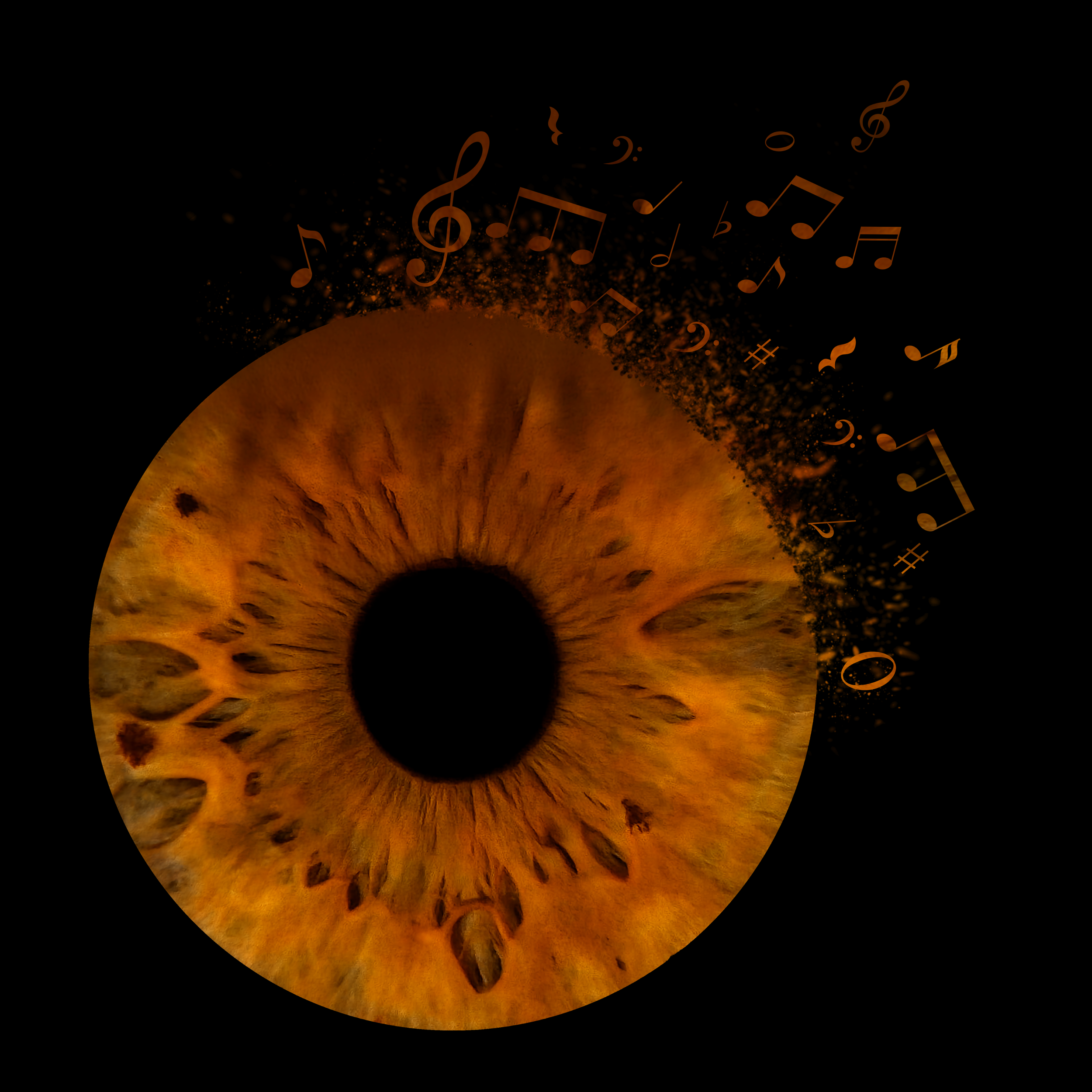 loreta.belskiene@gmail.com Music 2 13-05-2026.png