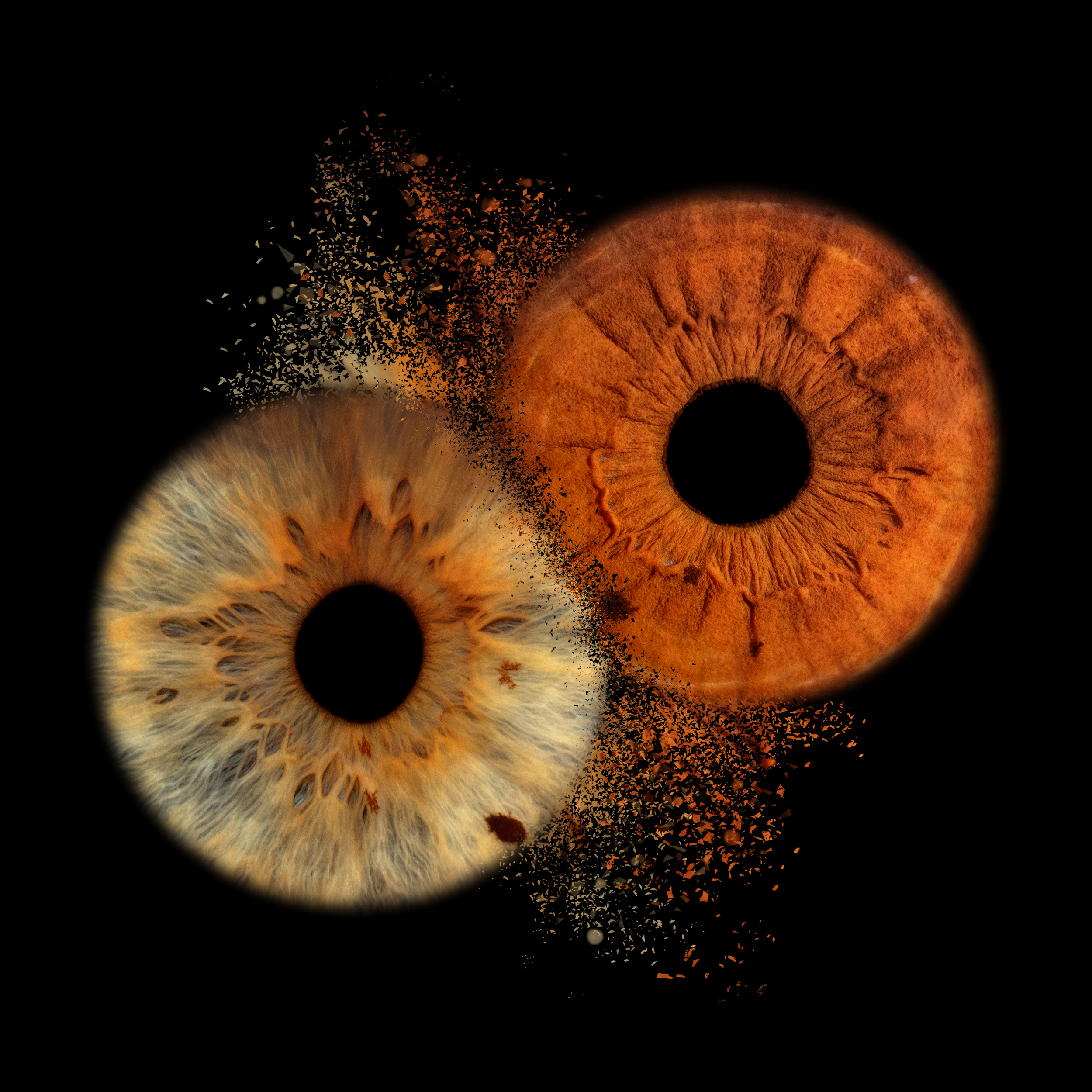 jobl Collision 2 07-05-2026.png