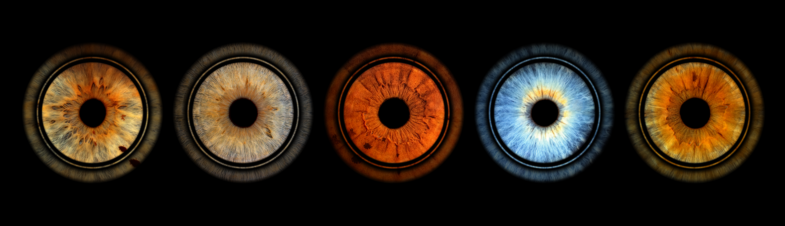 arna Rings 5 long 07-05-2026.png