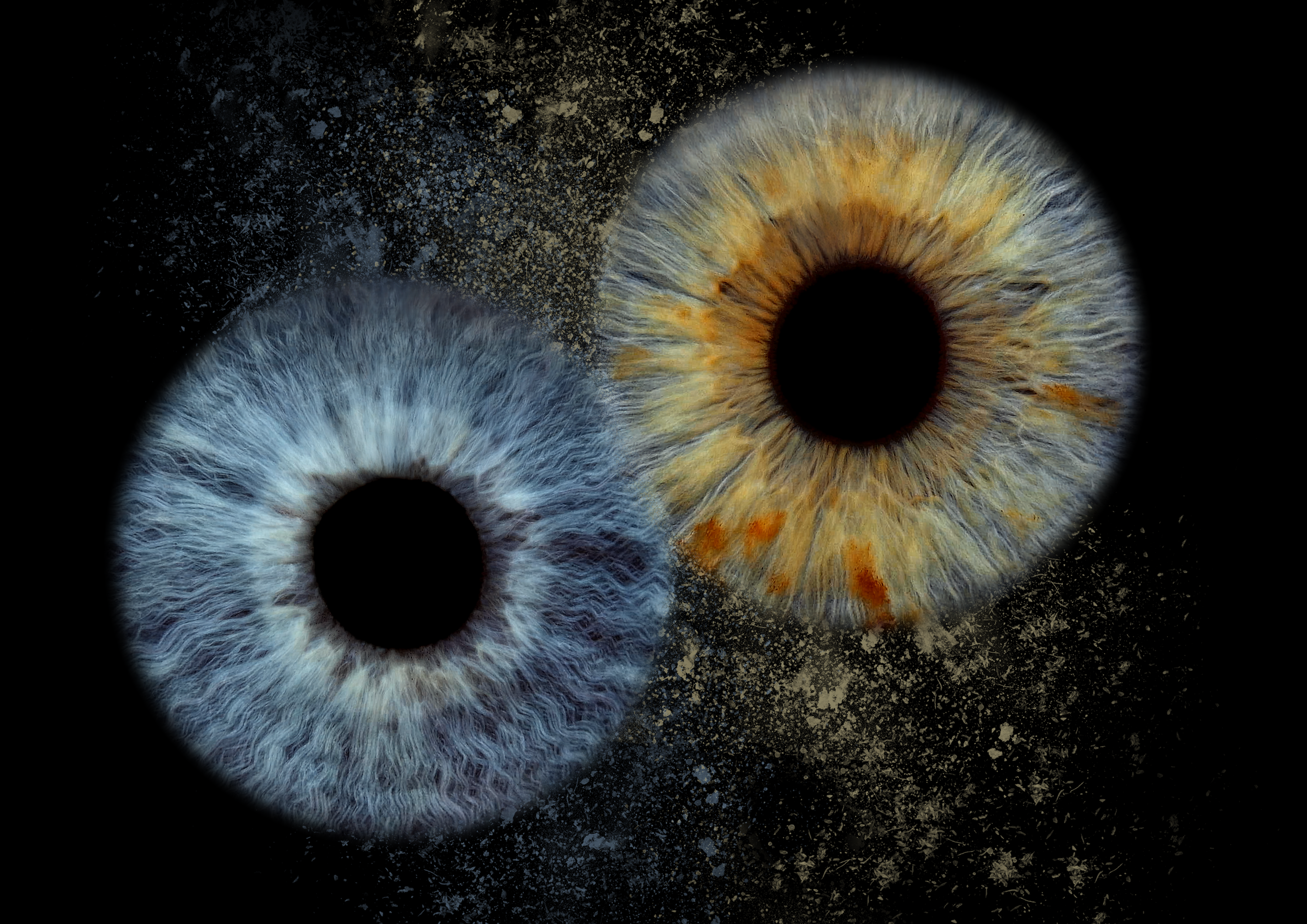 loreta.belskiene@gmail.com 2 eyes BIG COLLIDE 11-05-2026.png