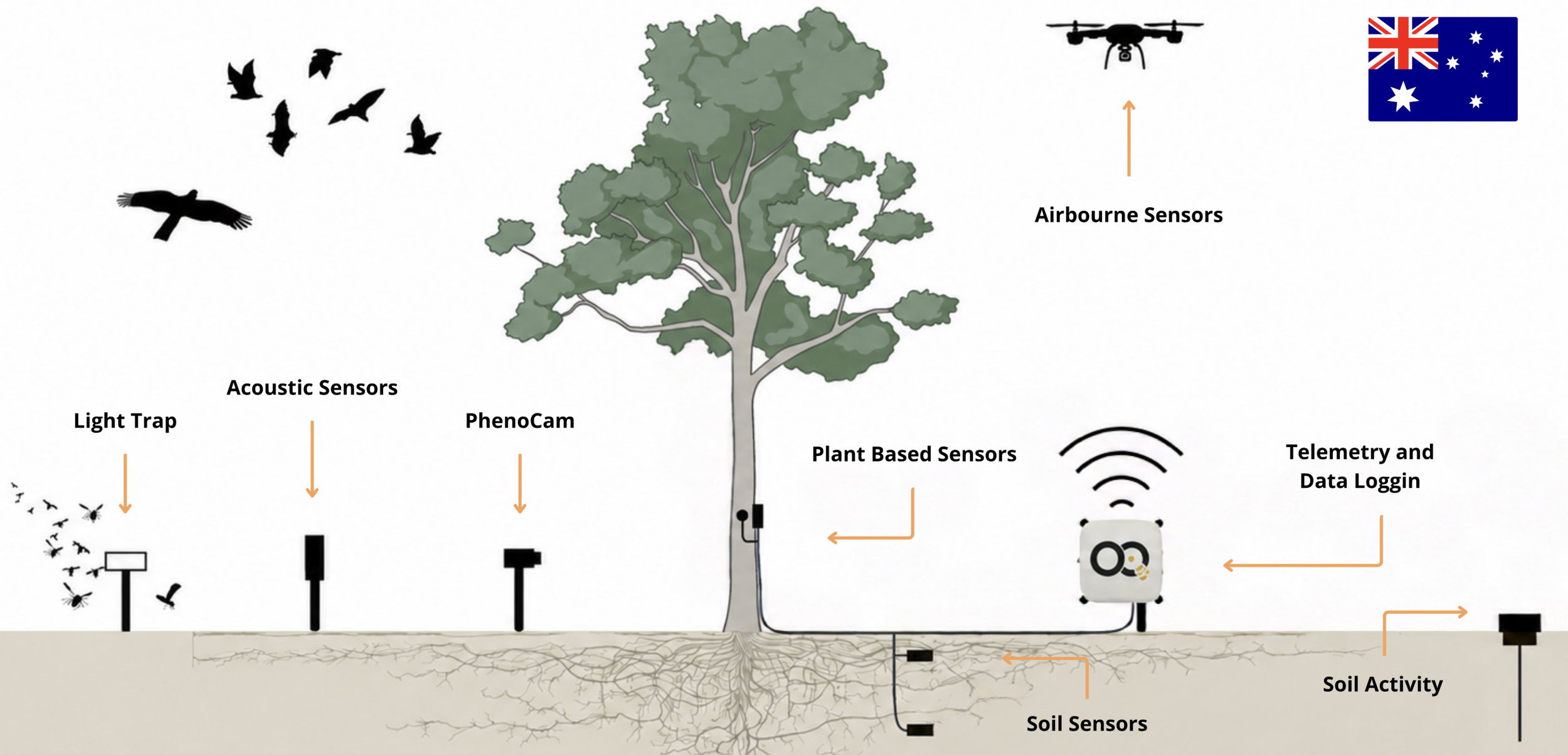 OQ Technology Wins First Australian Project for Satellite IoT Forest Monitoring
