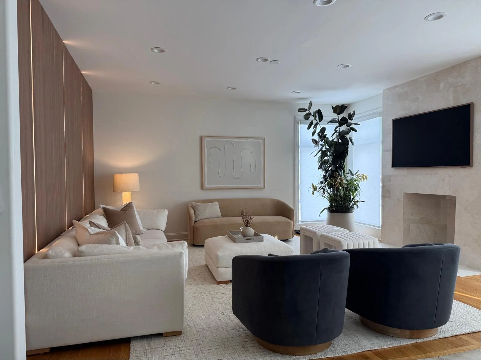 Modern In Roselle Project