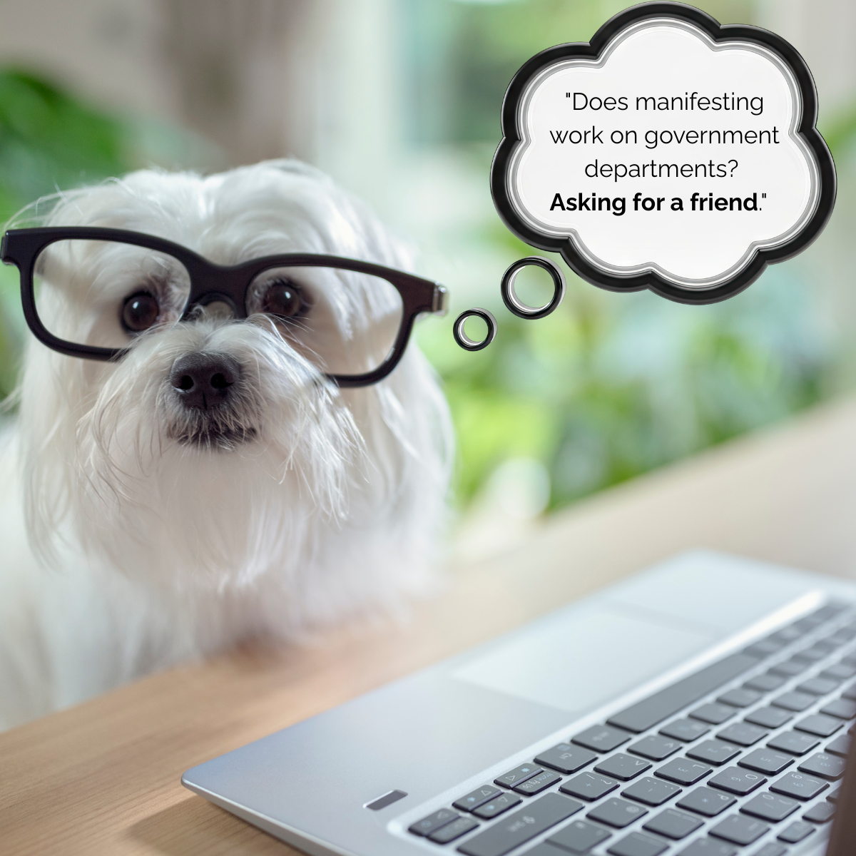 SEIS Linkedin Post_21 April 2026.png