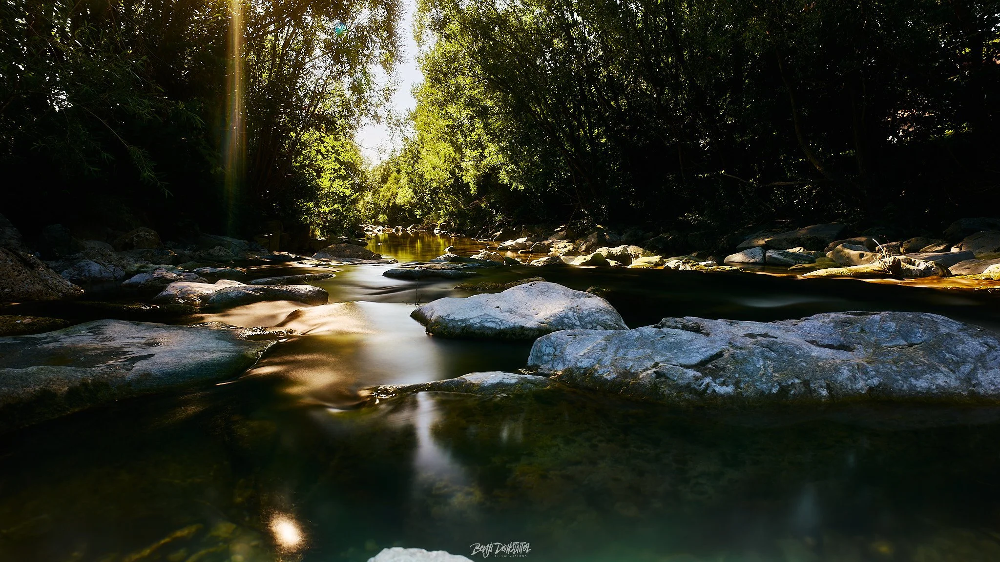 A serene river flowing through a lush, green forest with sunlight filtering through the trees.