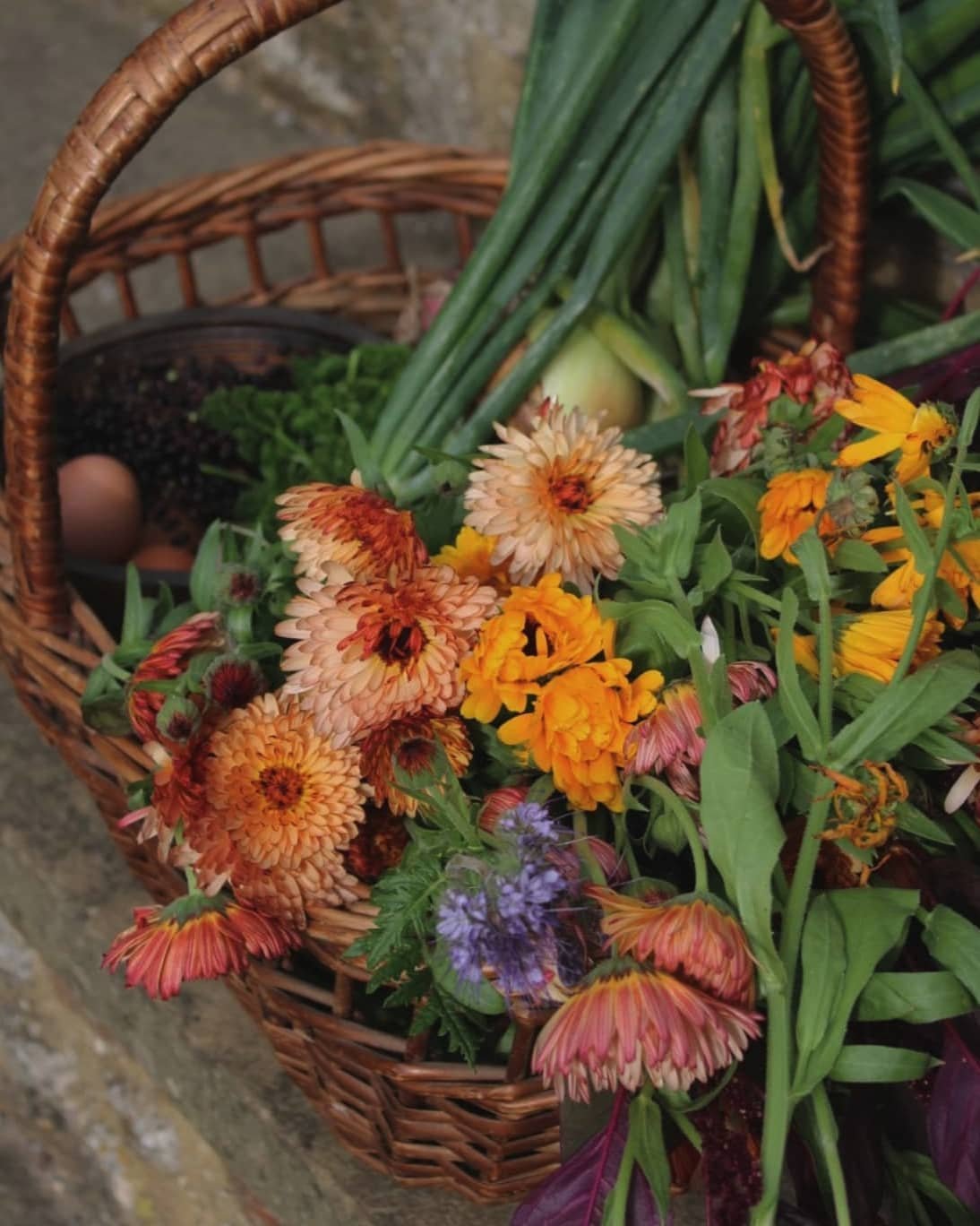 These calendula 'Triangle Flashback/Zeolights' from @Vital.Seeds may well be a new favourite!

@lowerhewoodfarm 
#organic #marketgarden #growers #communitysupportedagriculture #landworkers&nbsp;#agroecology #farmtotable #farmtoplate #farm #womenwhofa