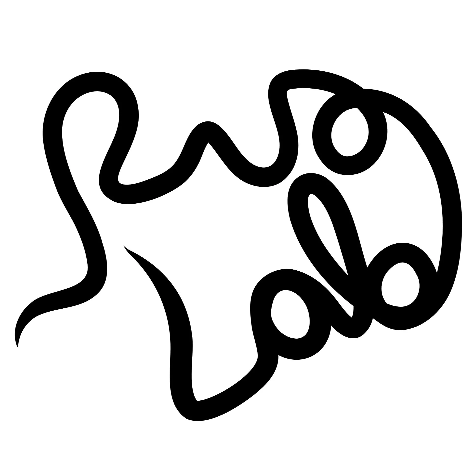 Bridport Rug Lab 
 Brand & poster design, content creation