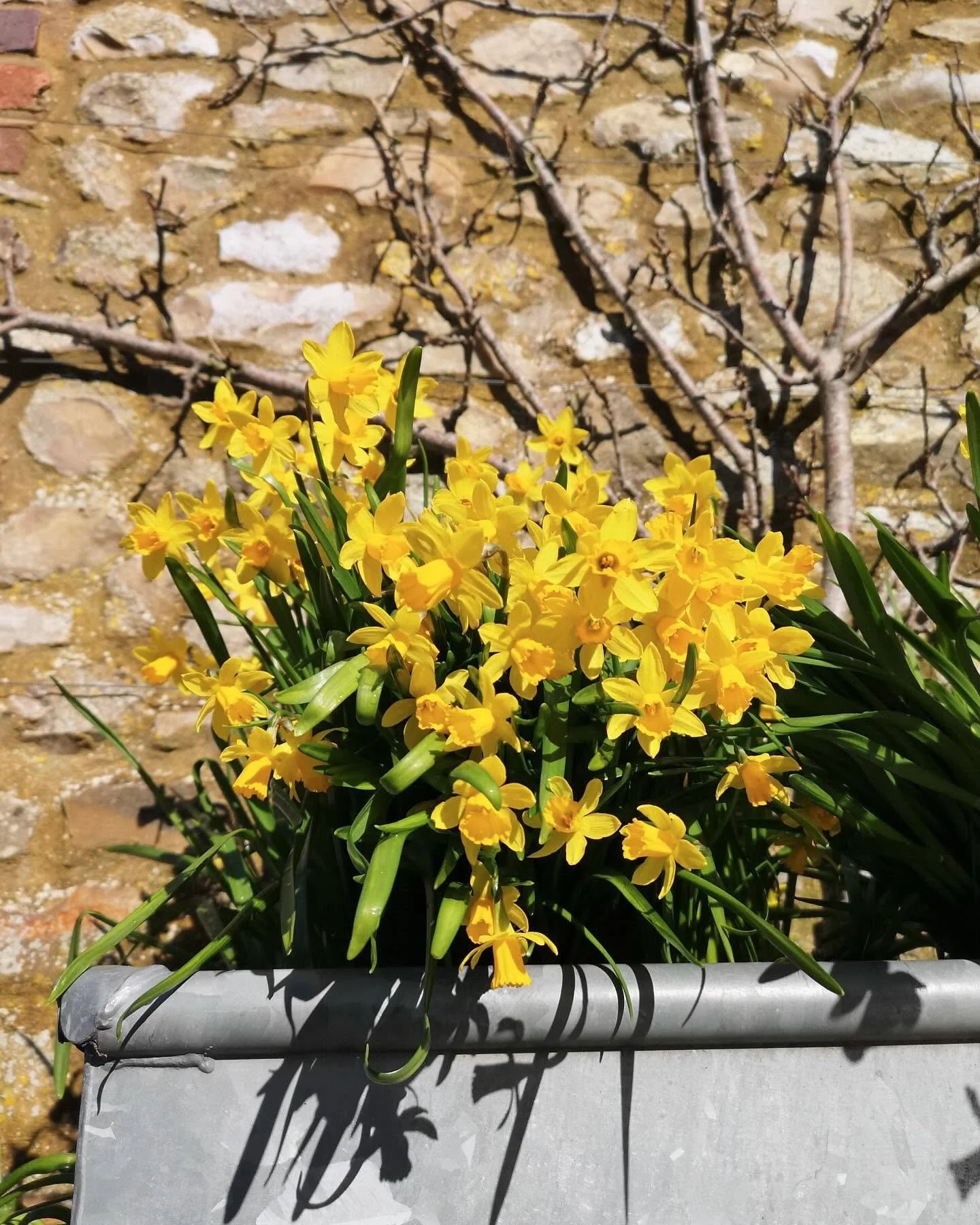 We now have space for new web design clients! ✨

Spring is the season of fresh starts and a great time to give your website a refresh or begin a new project for the busy season ahead, as the days get longer and business picks up. 

Whether you need a