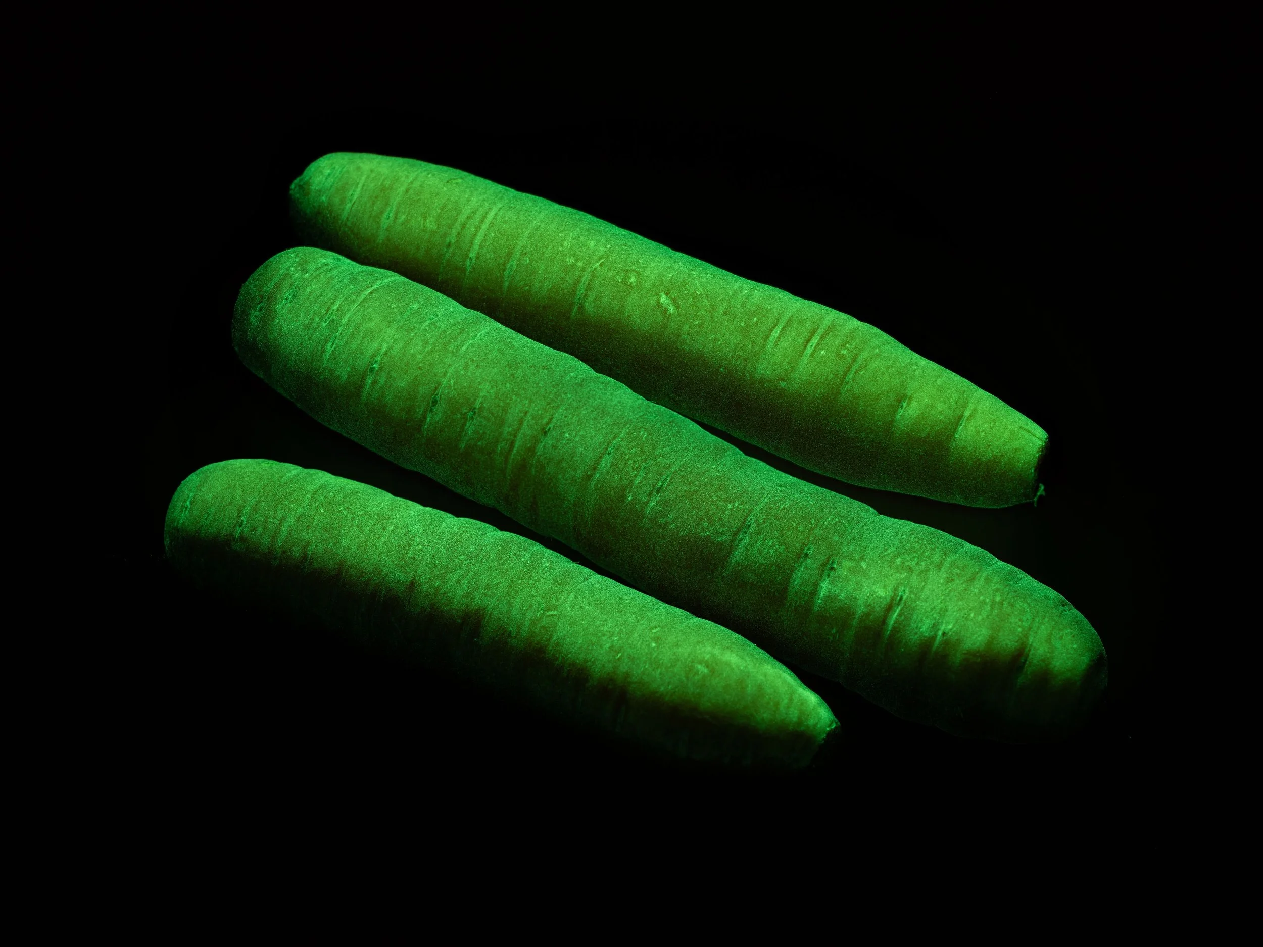 carrots_stack.jpg