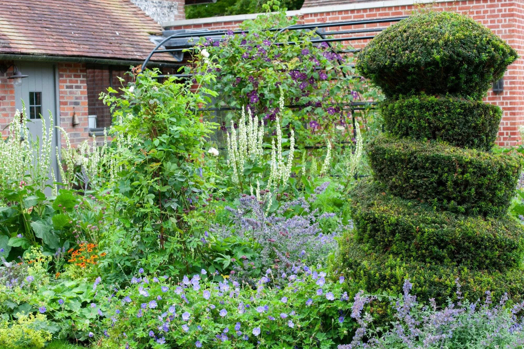 DSC_0399 Topiary arch door.jpg