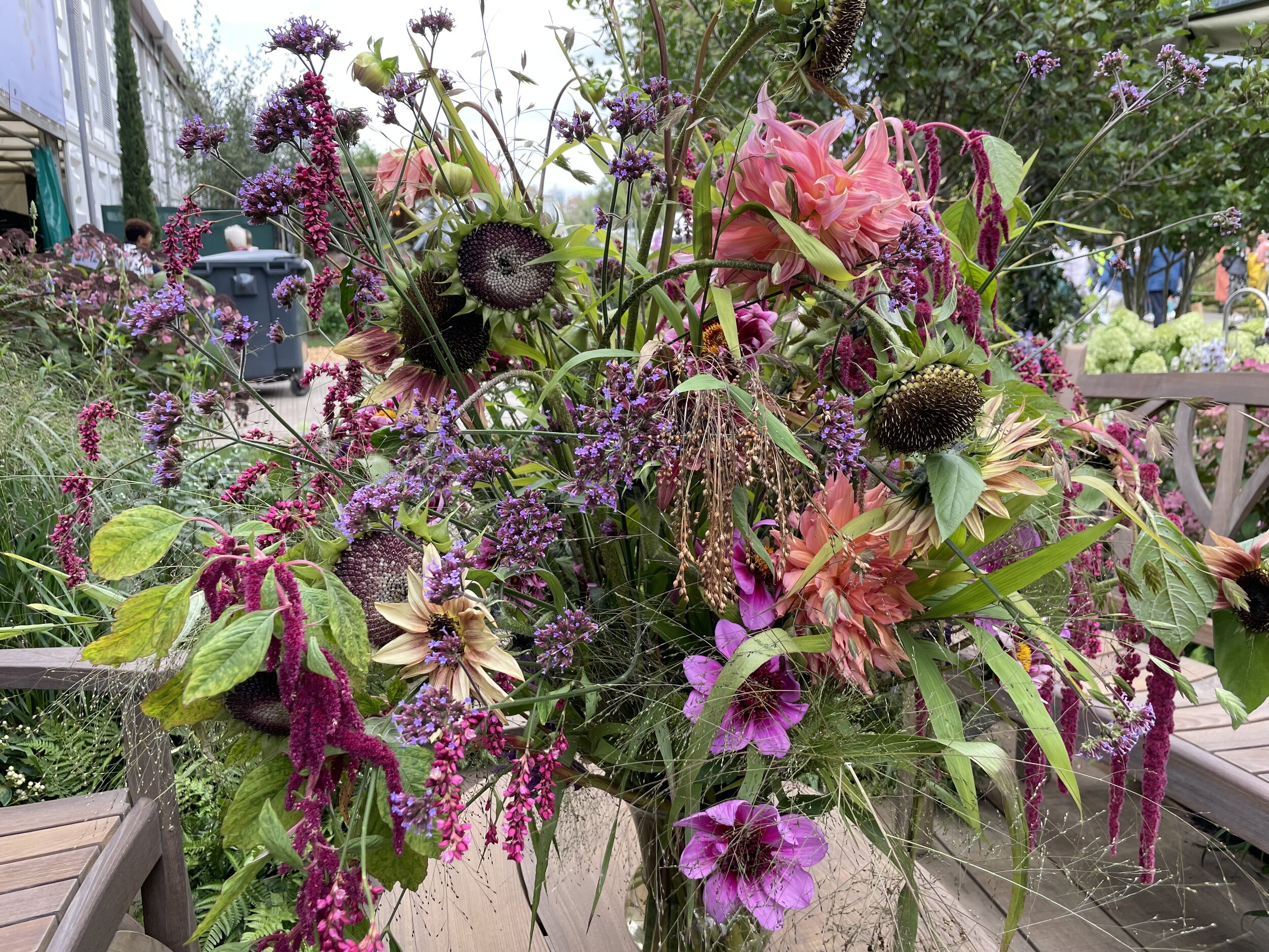 Dahlias and other heavenly confections at Gaze Burvill