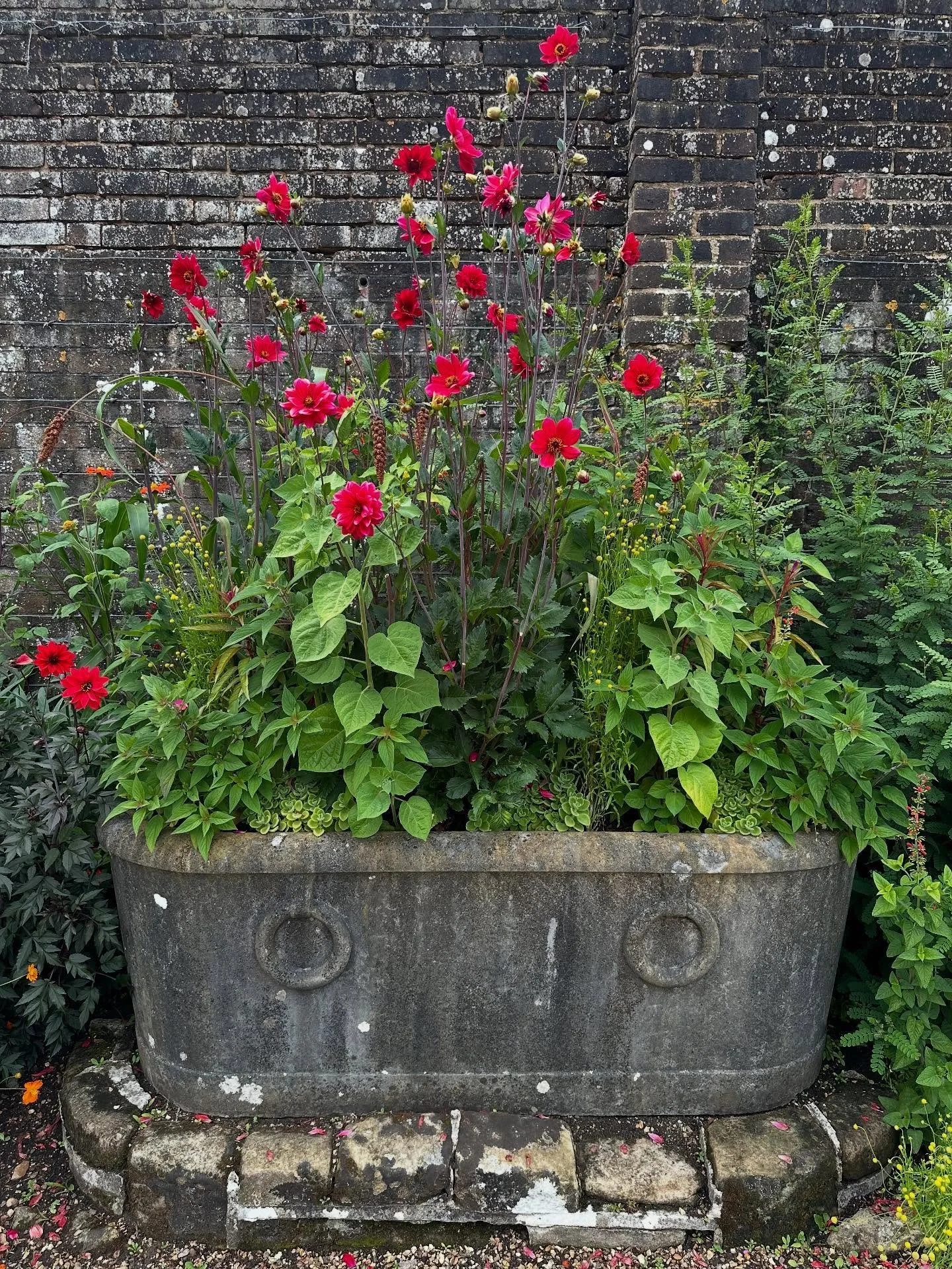 Lots to inspire and enjoy @wakehurst_kew.
Wandering with a client, we talked about planting choices for borders we are designing and flushed out a few likes and dislikes. We almost had the place to ourselves and we were certainly the last to leave a