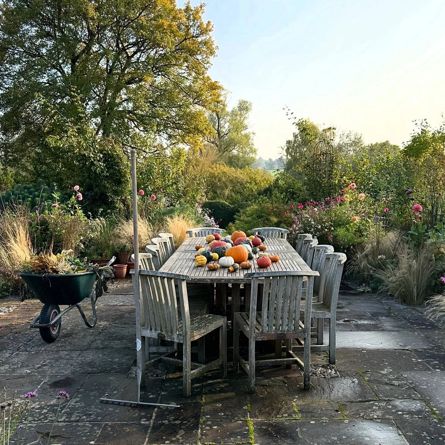 Sometimes ‘work in progress’ or ‘behind the scenes’ is more interesting. 
A trusty wheelbarrow and my favourite rake helped me to tidy and primp the terrace this afternoon.  What a beautiful day to be outside! 
.
.
.
#inmygar