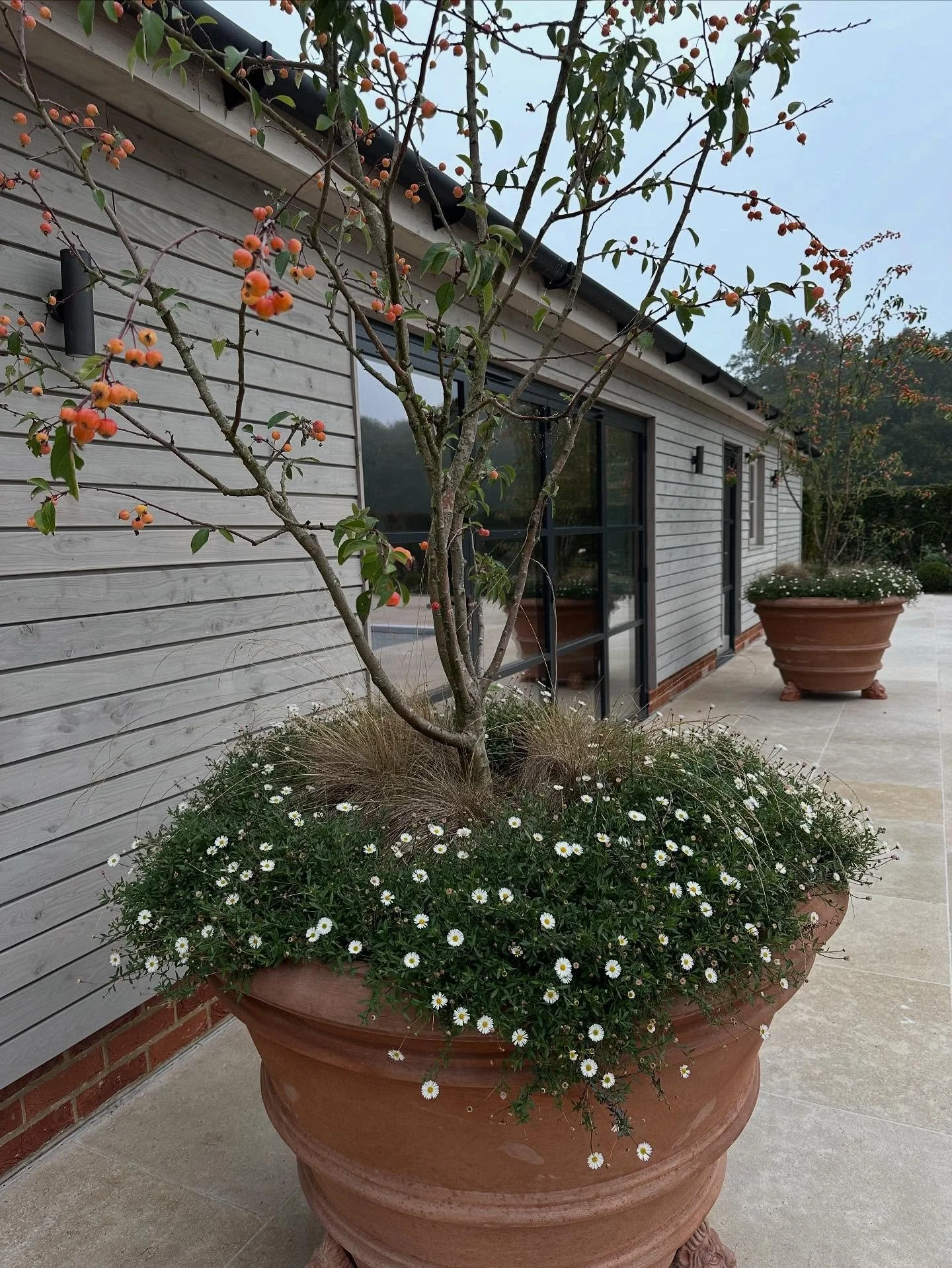 Here we go for our October roll of projects, inspiration and happy moments.  Of course, we are often at our desks, drawing board, or out and about working on client projects.  But hopefully the odd pot gives you a flavouring. 

❤️ King size terracott