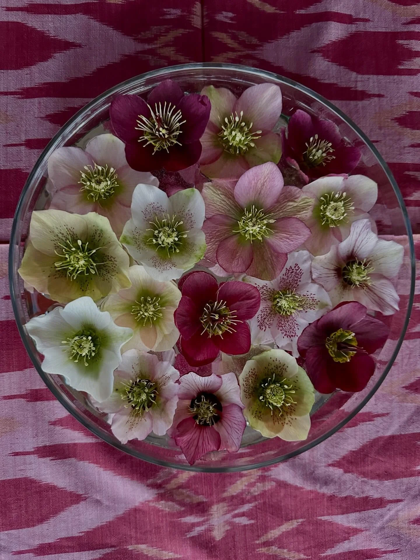 Heavenly hellebores. 

I&rsquo;ve written my thoughts in my latest Journal.  Follow my link in Bio above for a read about this favourite flower
.
.
.
#gardendesigner 
#plantacholic 
#landscapedesigner 
#helleboreseason 
#springflowers