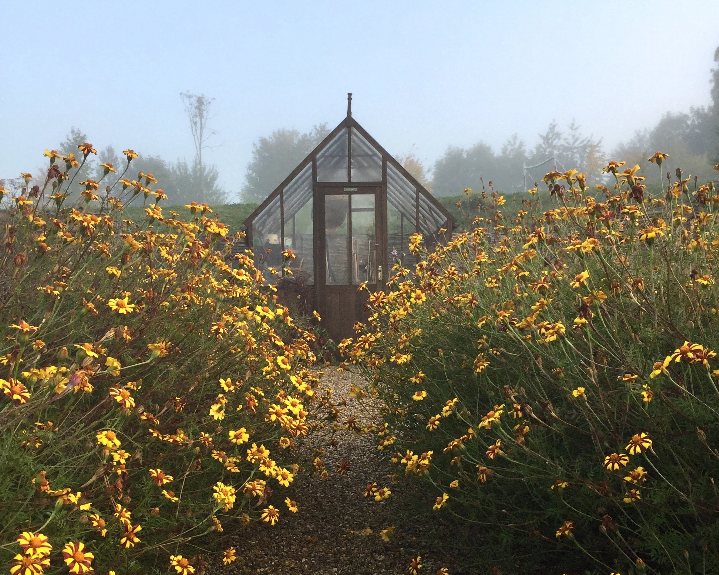 Alton Greenhouse