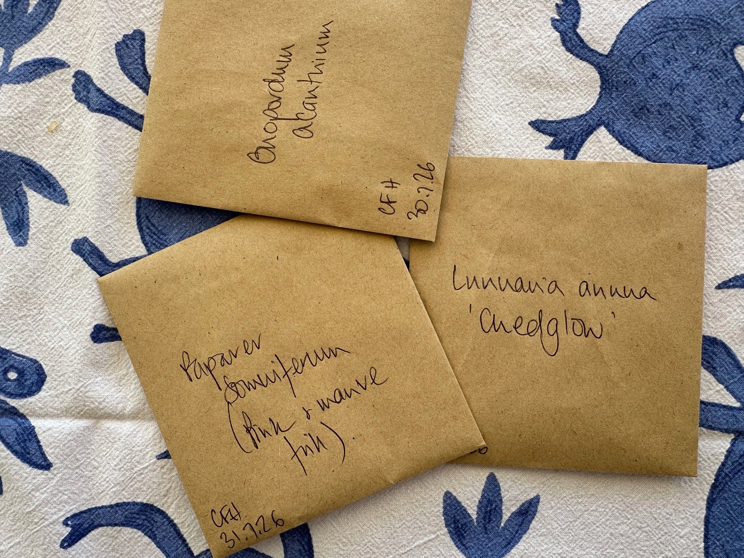 Handwritten seeds packets