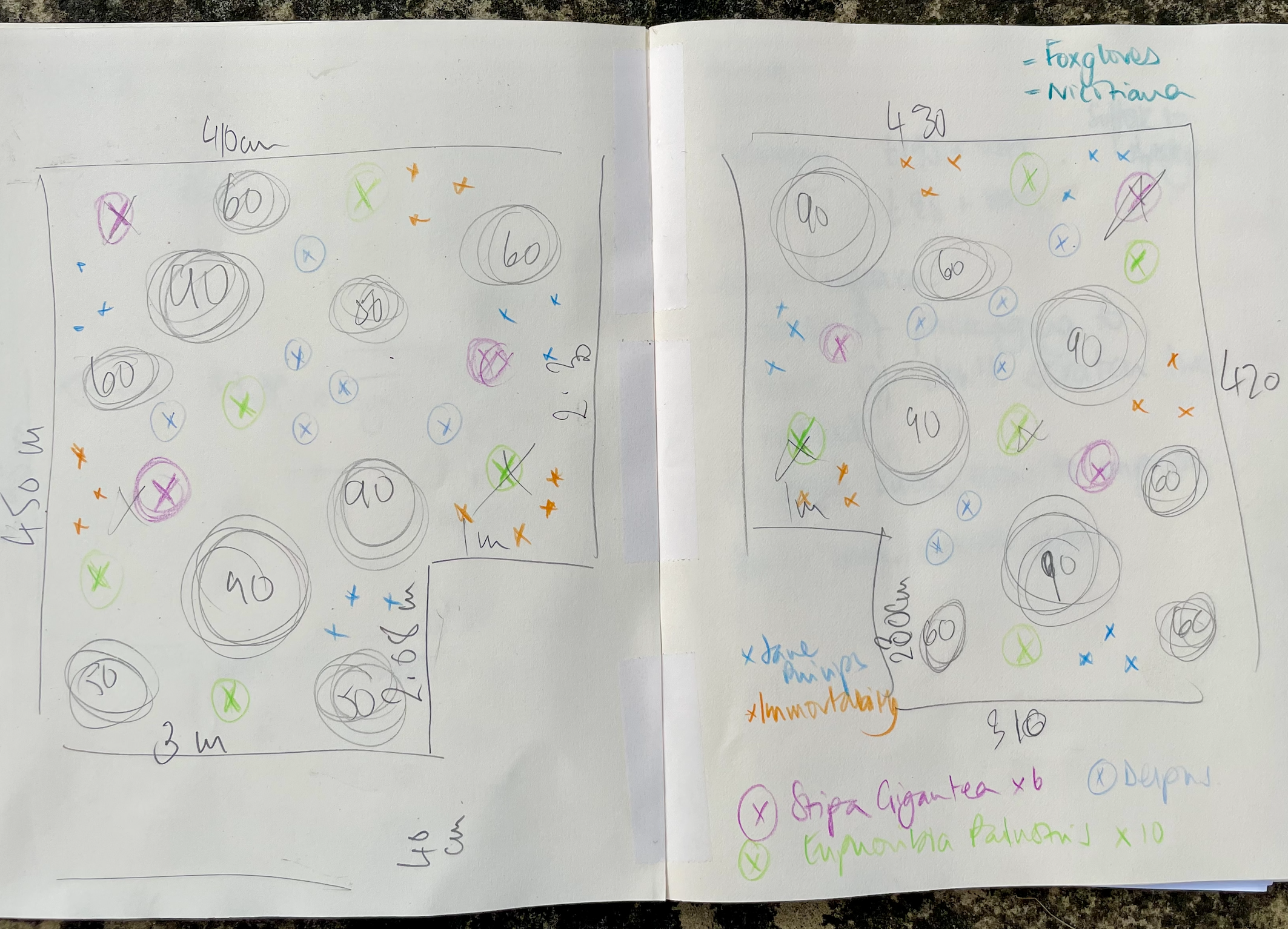 Planting Plan Workings