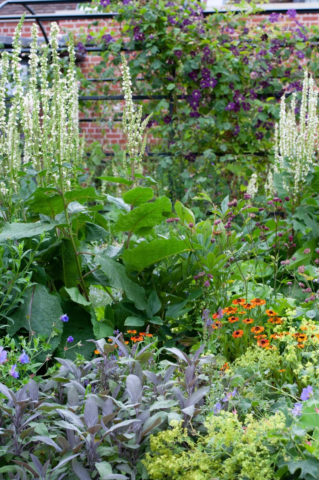 DSC_0414 Portrait lush planting.jpg