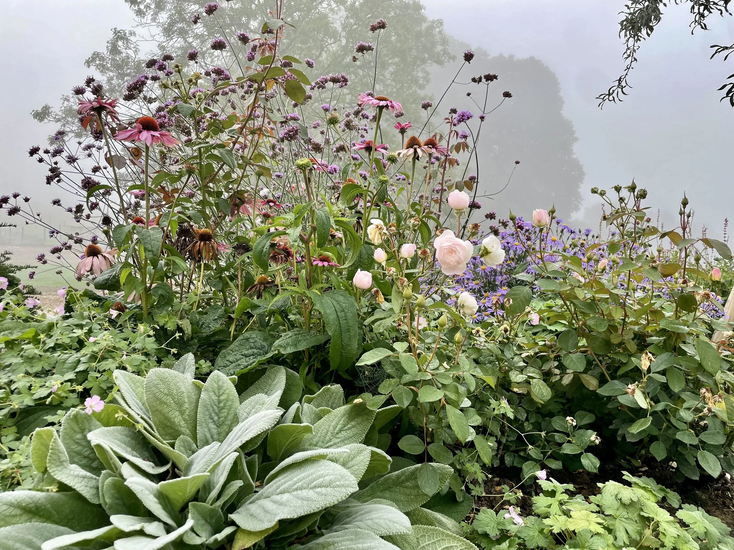 *Late summer planting Landscape.jpeg