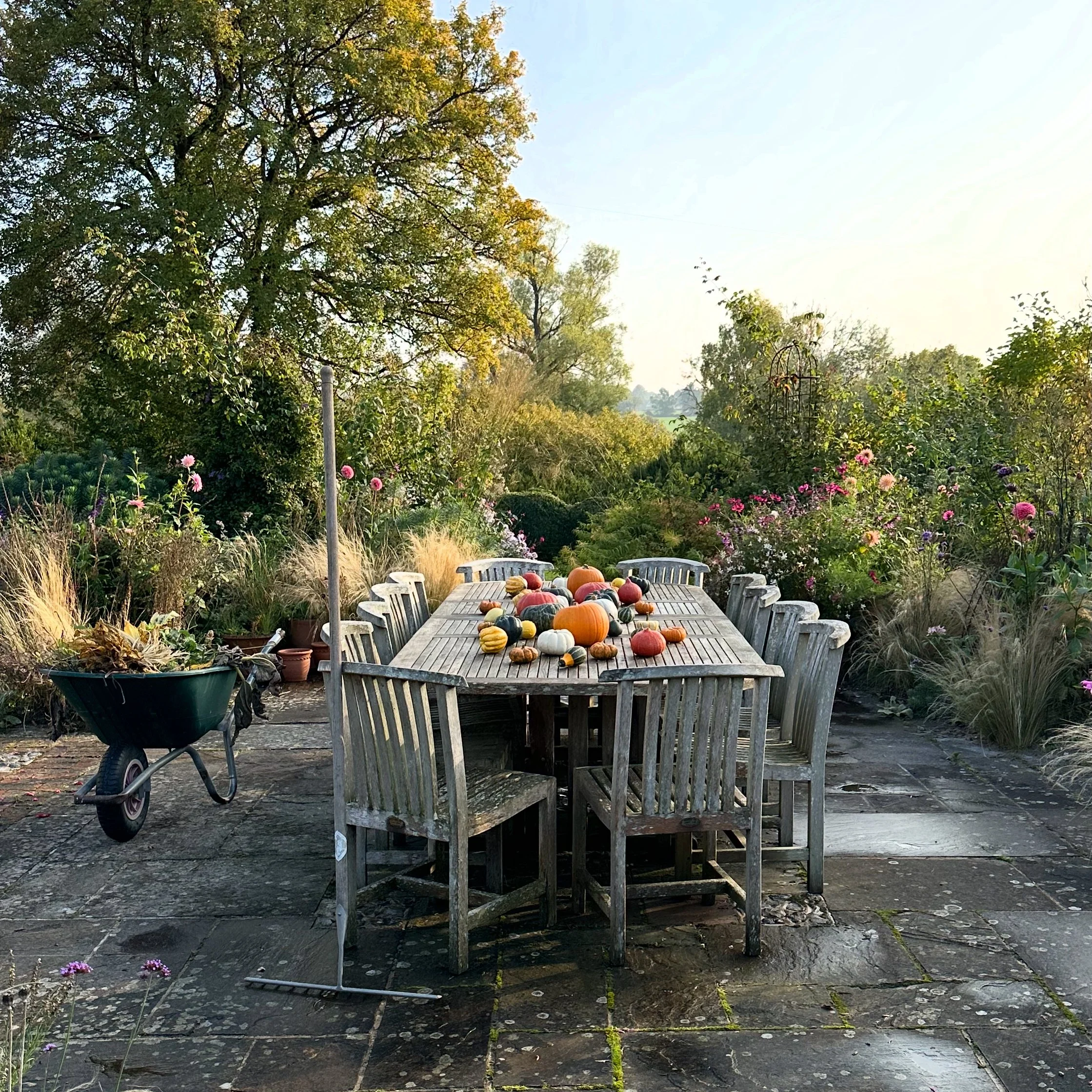 Pumpkins and squash tableau