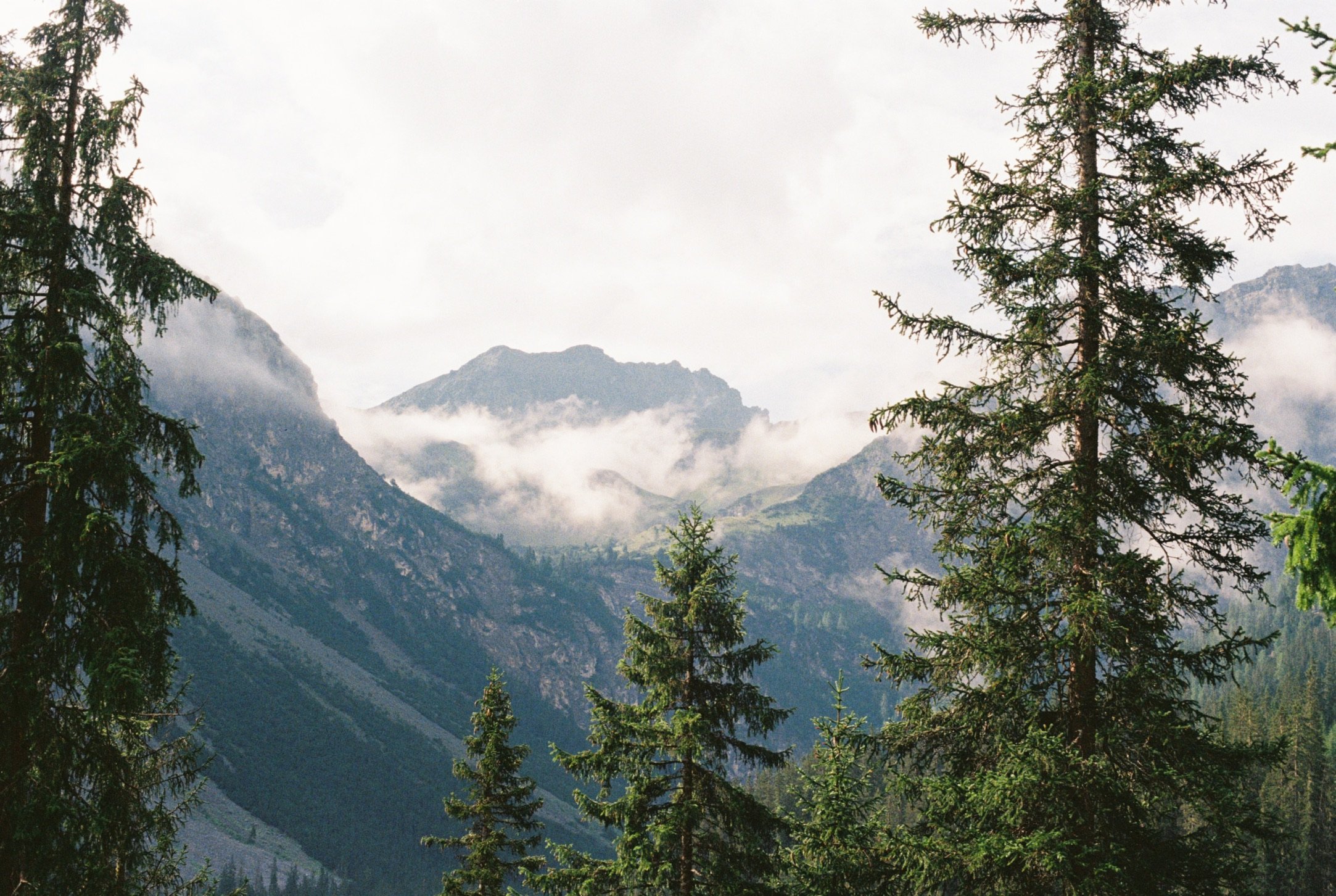A08DB281-5611-4EA7-9BC0-2570EAD7A71D_1_102_o.jpeg