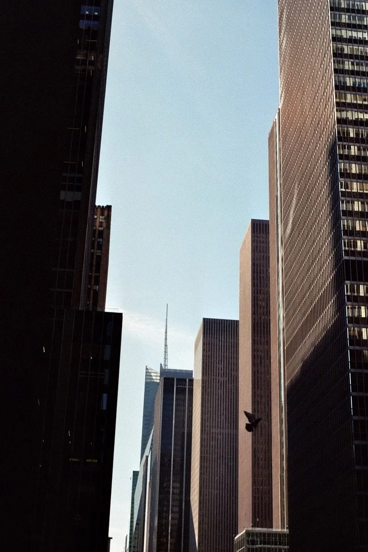 12F2D2F0-56EE-42E8-AAFB-9FD16CCC1403_1_105_c.jpeg