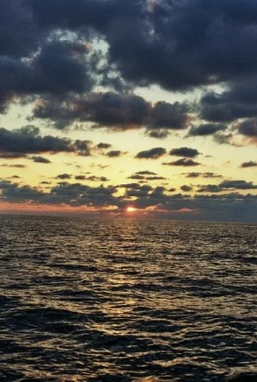 C3B029B8-87E7-4F5E-BDEB-DFC67DEEF03A_4_5005_c.jpeg