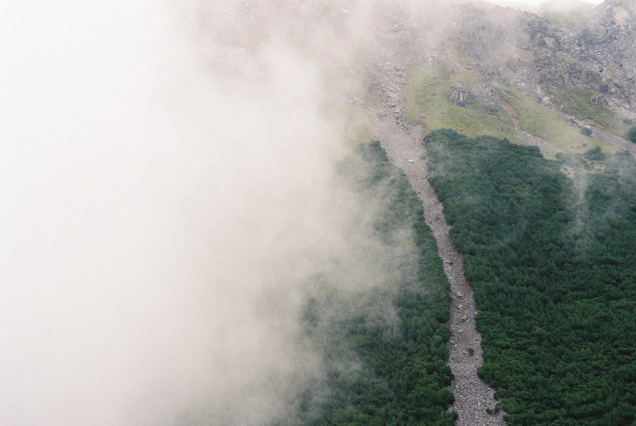 1A0E6AF6-575B-4D0B-8615-2CDC691FDC4F_1_102_o.jpeg