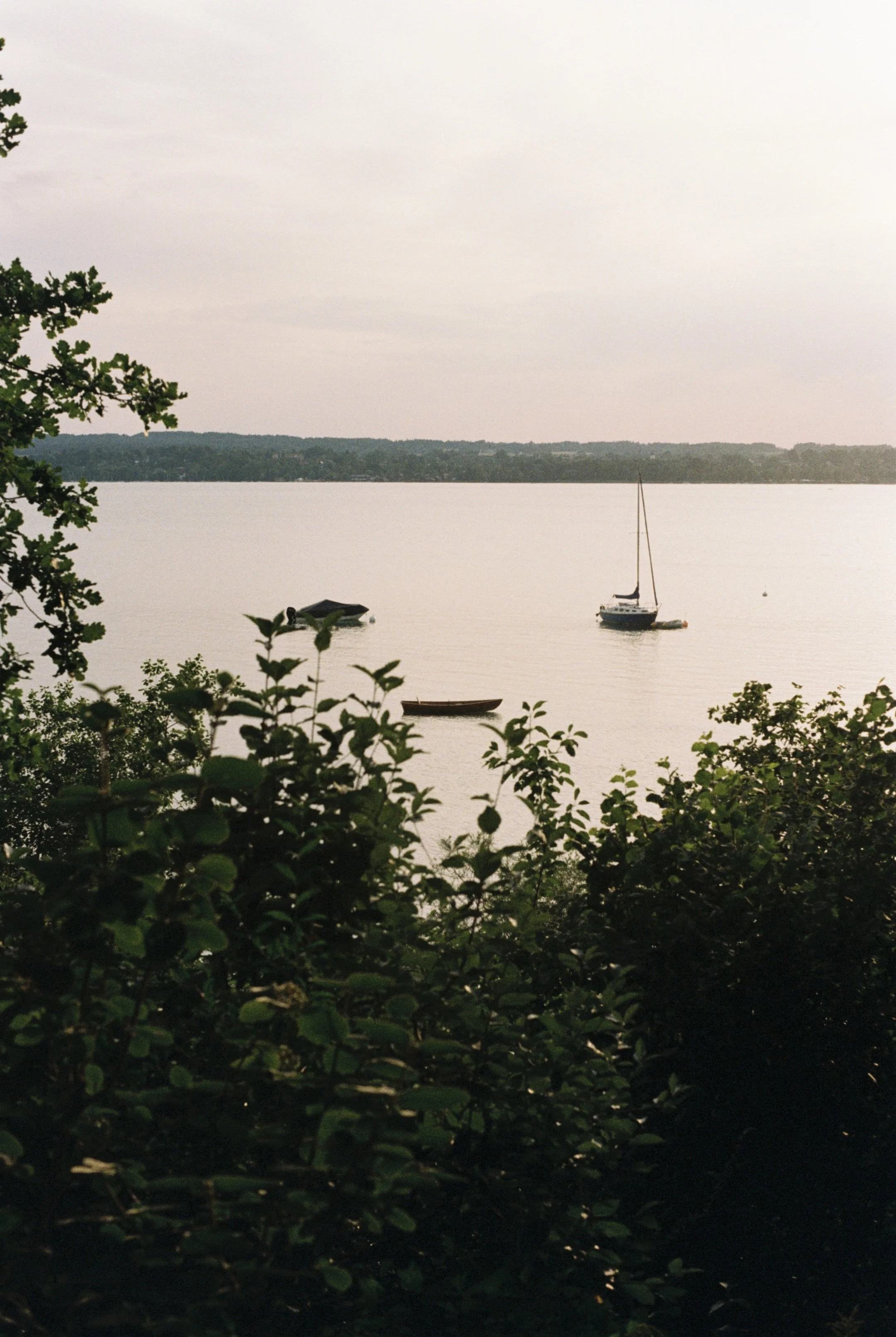 1D417DC8-F7D2-4750-8DF2-59EBC08AB702_1_201_a.jpeg