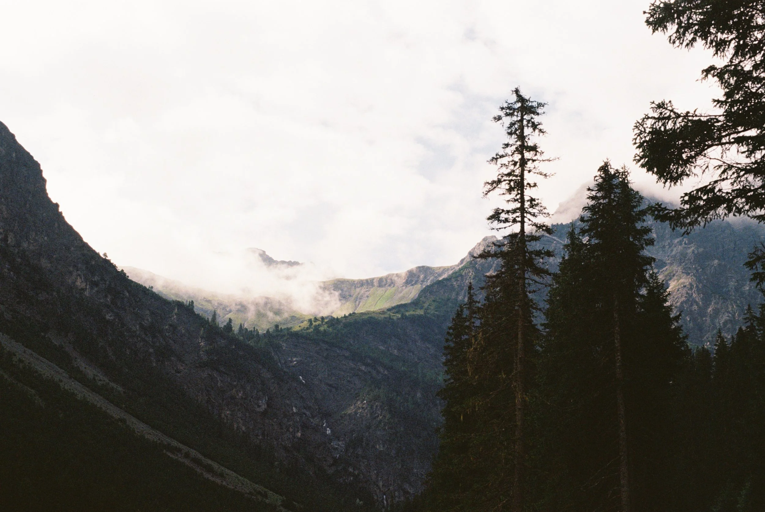 050958A3-A958-47B4-830E-4F67F858E541.jpeg