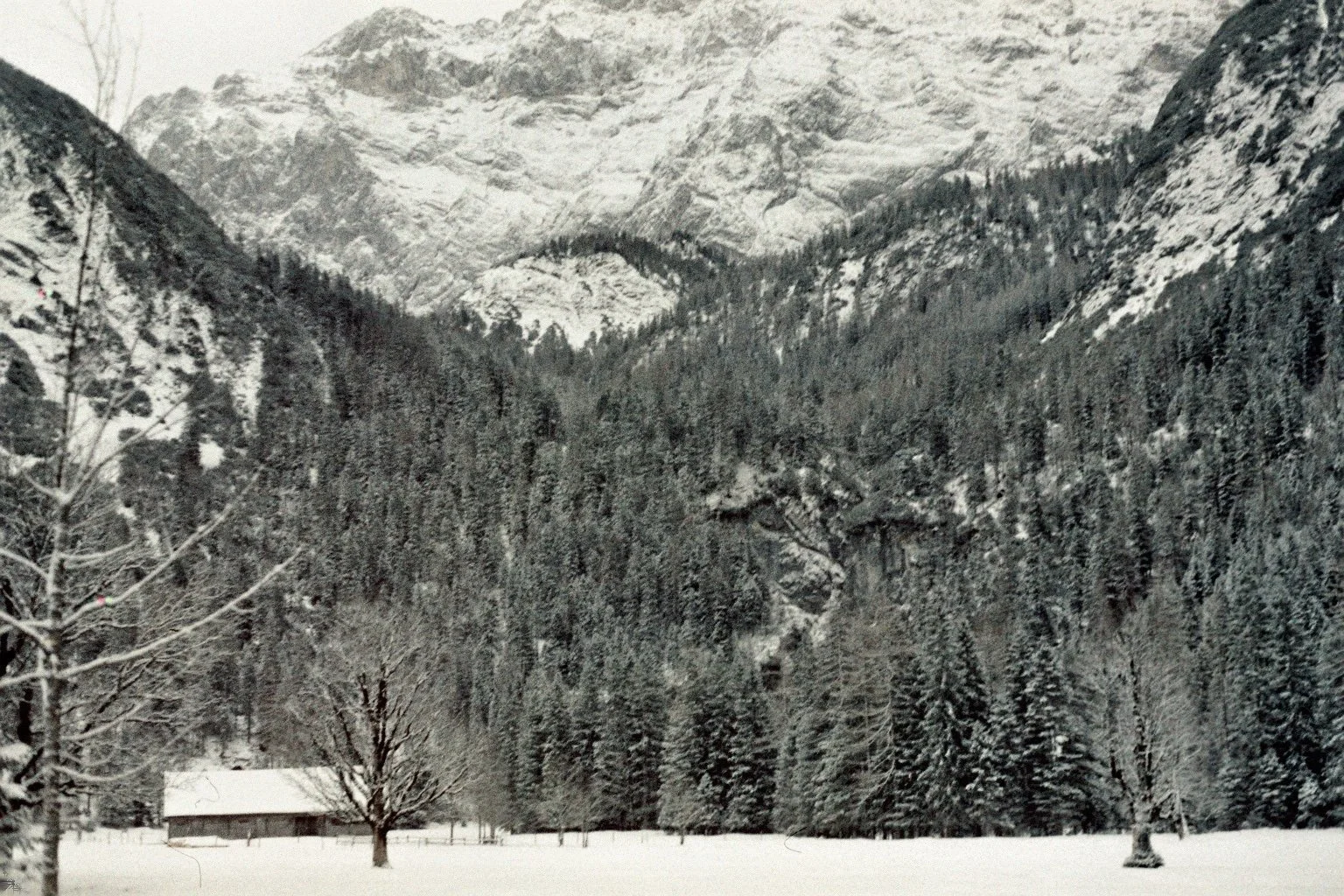 Winter