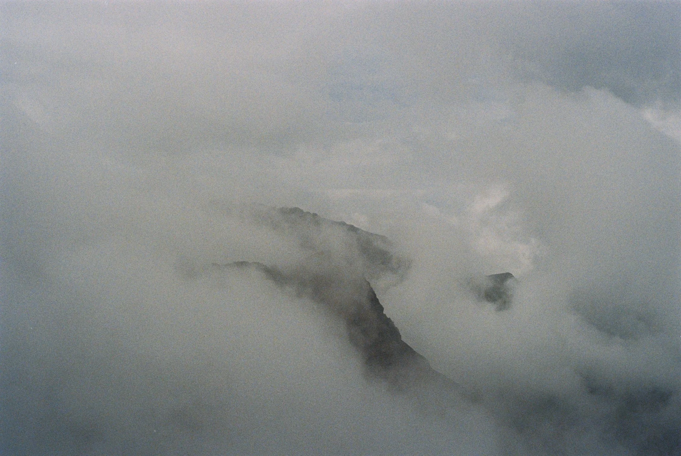 30CCBDBE-D579-4D78-A1A8-06B07B9C5E26_1_102_o.jpeg