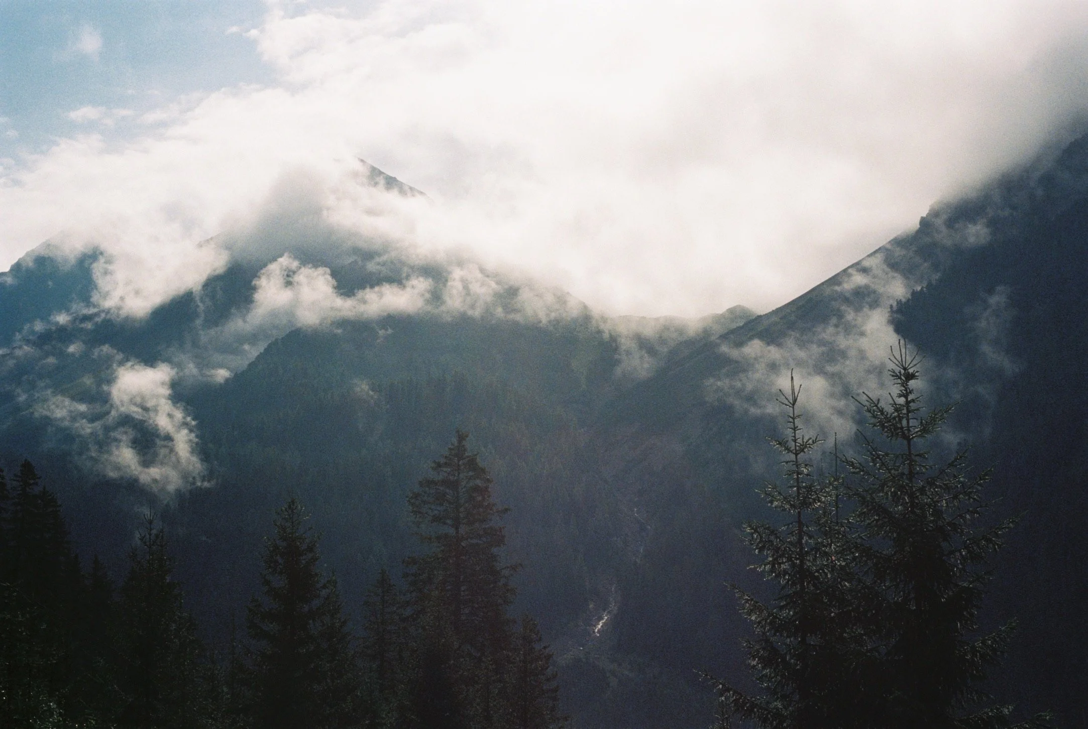 0C8CF31B-8372-4ED2-A938-73390EBD5540_1_102_o.jpeg