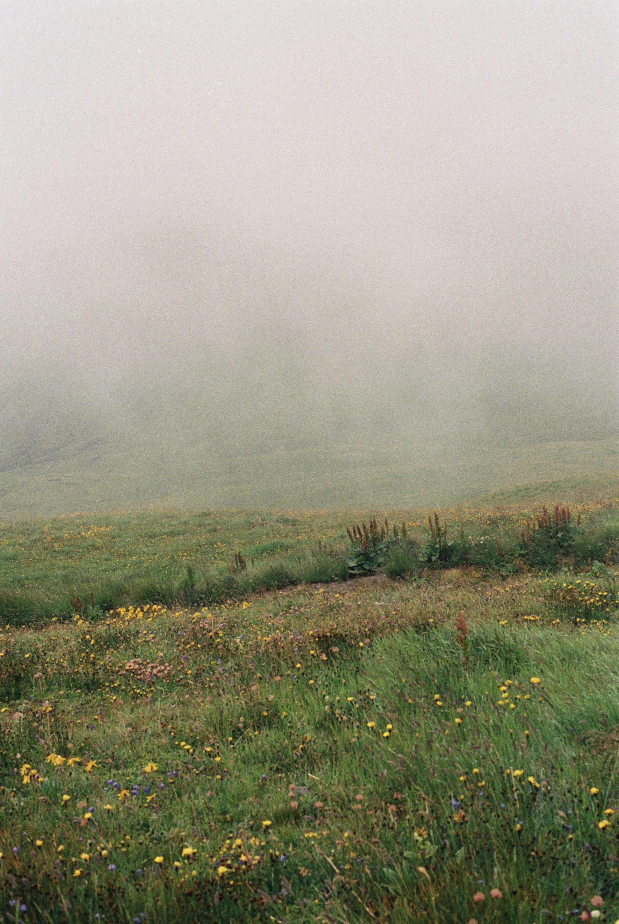 C0858775-3687-4D2D-944C-CE903B99D36A_1_201_a.jpeg