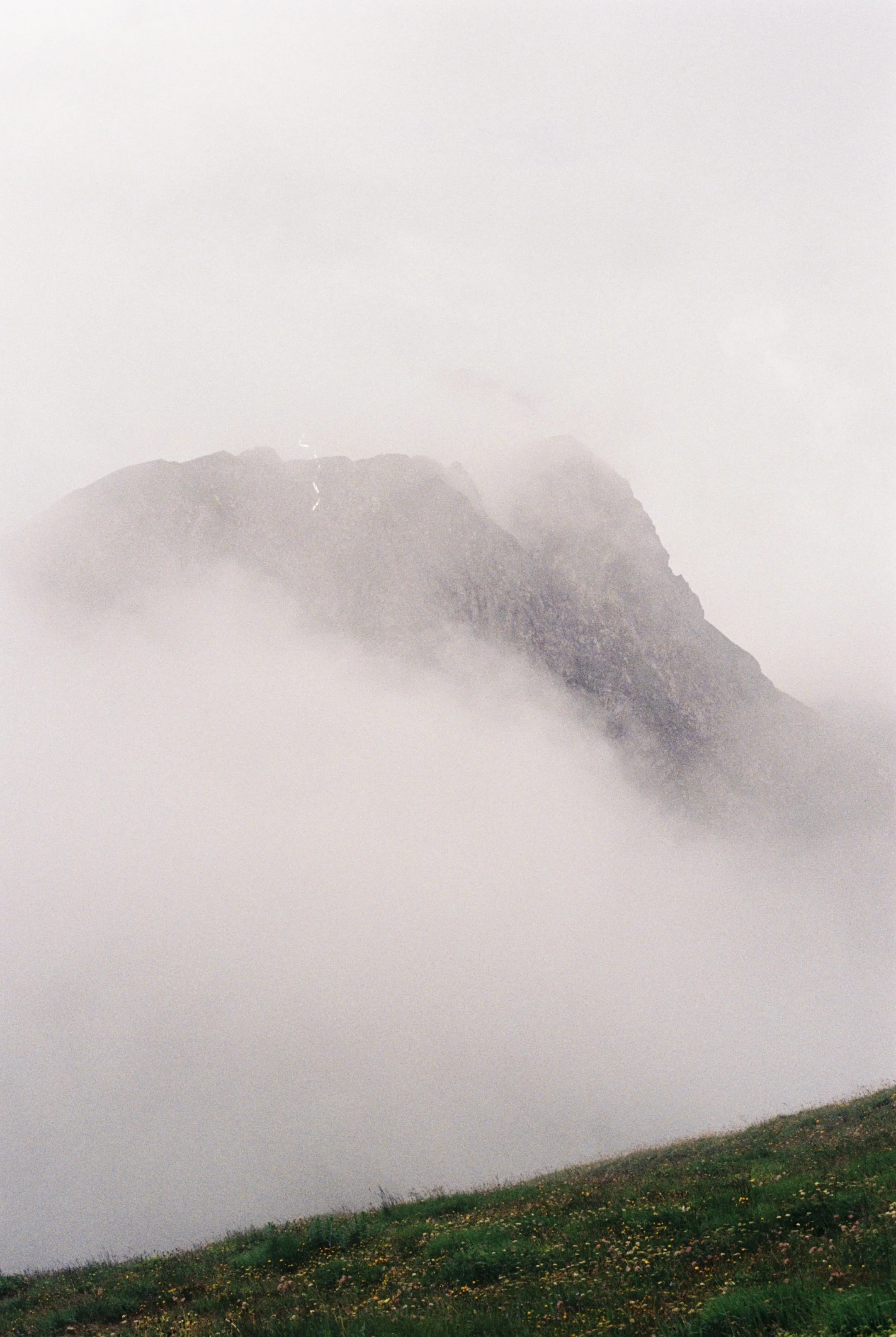 60A1204F-5E5C-4CF6-8361-651817879C39_1_201_a.jpeg